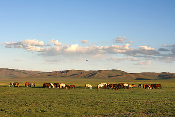 Image showing Mongolia