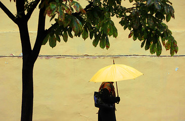 Image showing yellow umbrella