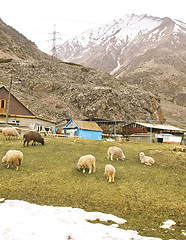 Image showing Village in Caucasus mountain