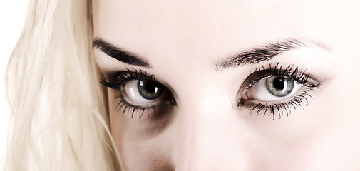 Image showing Photo of woman eyes