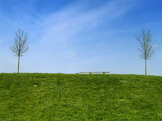 Image showing Field and Sky