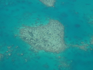 Image showing Heart Shaped Reef