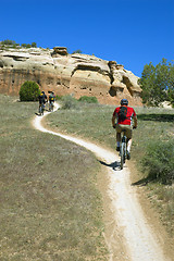 Image showing Three Mountain Bikers