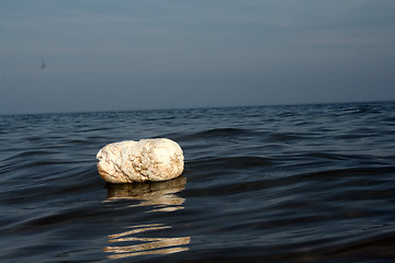 Image showing White Buoy on Water