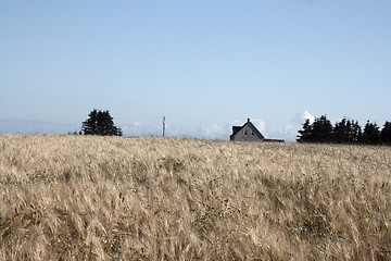 Image showing Rural Grain Farm