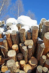 Image showing Wood Fuel Logs in Winter