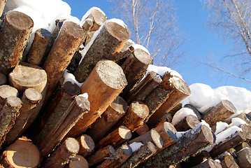 Image showing Logs for Wood Fuel in Winter