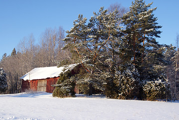 Image showing Red Barn and Trees in Winter Snow