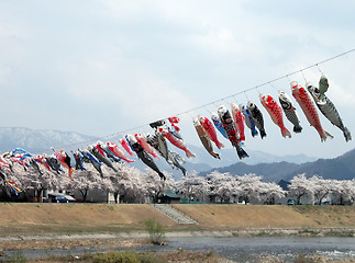 Image showing Flying carps in a mountains valley