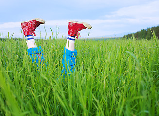 Image showing Legs, in a green grass