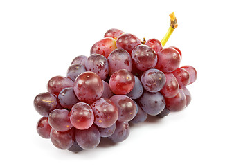 Image showing Cluster of ripe grapes