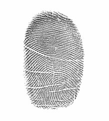 Image showing Fingerprint