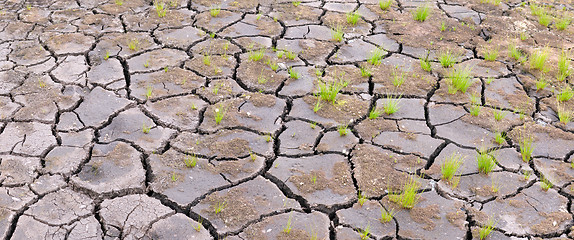 Image showing Surface of ground