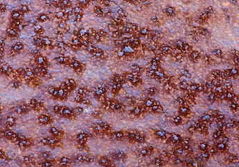 Image showing Grunge rusty metal