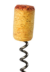 Image showing Cork and a corkscrew