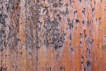 Image showing Metal old rusty surface