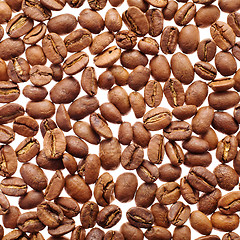 Image showing coffee grains