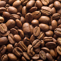 Image showing Coffee grains