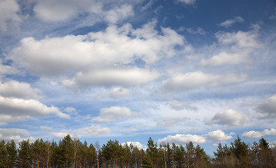 Image showing Clouds above a wood