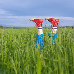 Image showing Legs, in a green grass