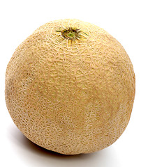 Image showing athena melon