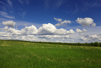 Image showing Green field