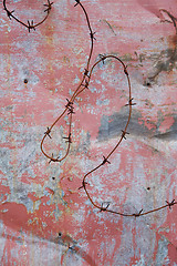 Image showing Barbed wire