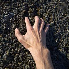 Image showing Hand clinging stony ground