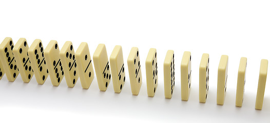 Image showing Bones of a dominoe