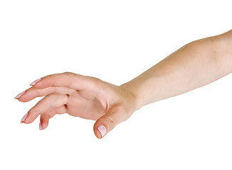 Image showing Female hand