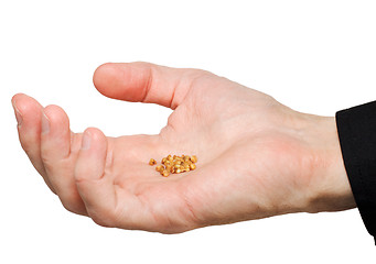 Image showing Handful of grains