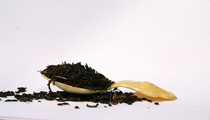 Image showing tea