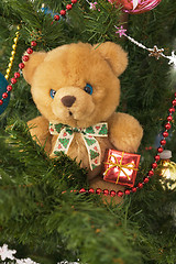 Image showing Plush toy bear in the banch of Cristmas-tree