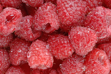 Image showing A high resolution macro of freshly washed raspberry fruit. (12MP camera)