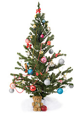 Image showing Ñhristmas tree - fir