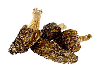 Image showing Dried morels on a white