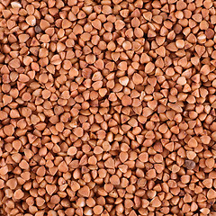 Image showing Golden buckwheat