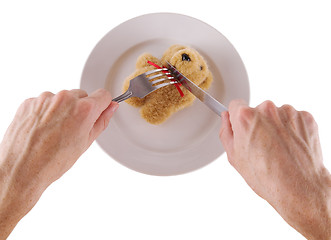 Image showing Eating of a toy bear