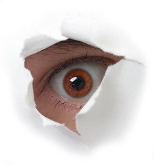 Image showing Red eye and paper