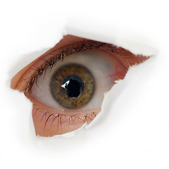 Image showing Eye