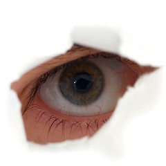 Image showing Eye