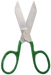 Image showing Scissors