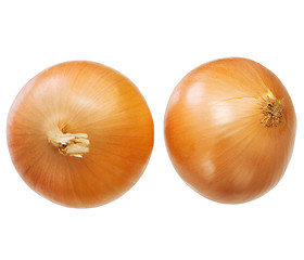 Image showing Large onion