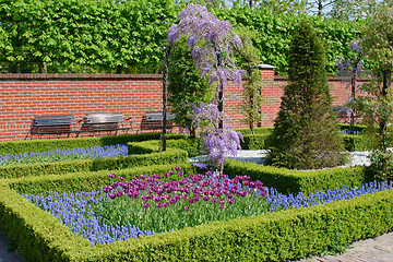 Image showing garden