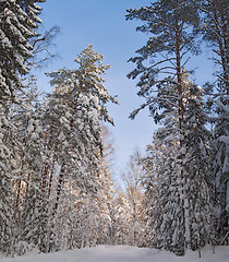 Image showing Winter Road
