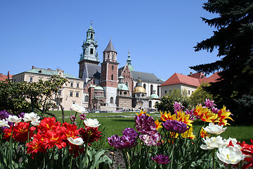 Image showing Wawel castle and garden