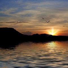 Image showing Flamingos flying