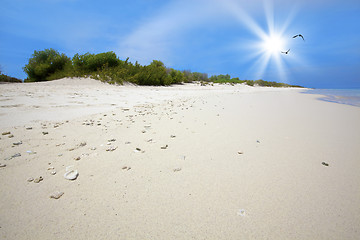 Image showing Klein Bonaire