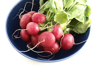 Image showing Radish 