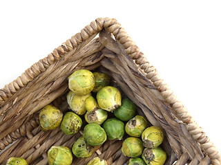 Image showing Brussels Sprout